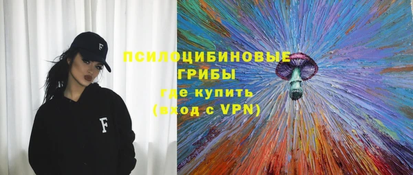 apvp Абаза
